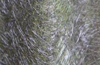 Upper Lode fibreglass roof work