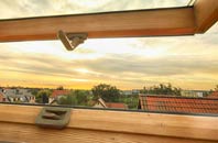 rated Upper Lode roof window companies